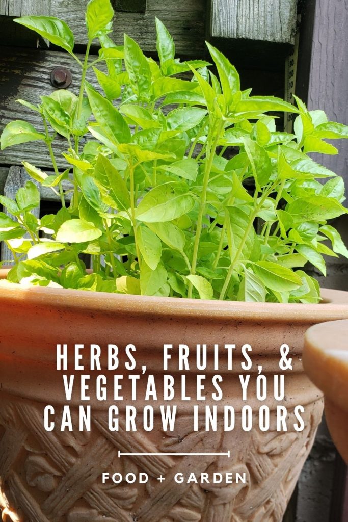 herbs fruits vegetables you can grow indoors
