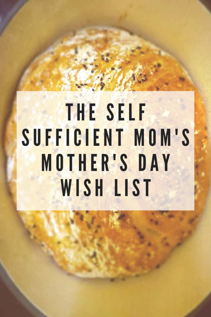 self sufficient mom mothers day wish list