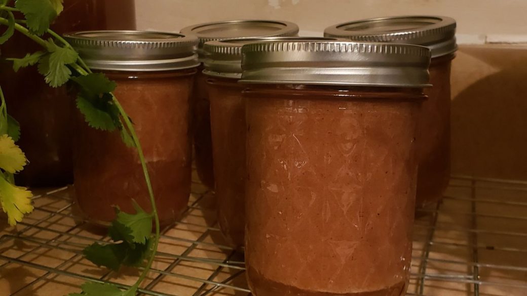 Homemade Instant Pot Canned Apple Sauce
