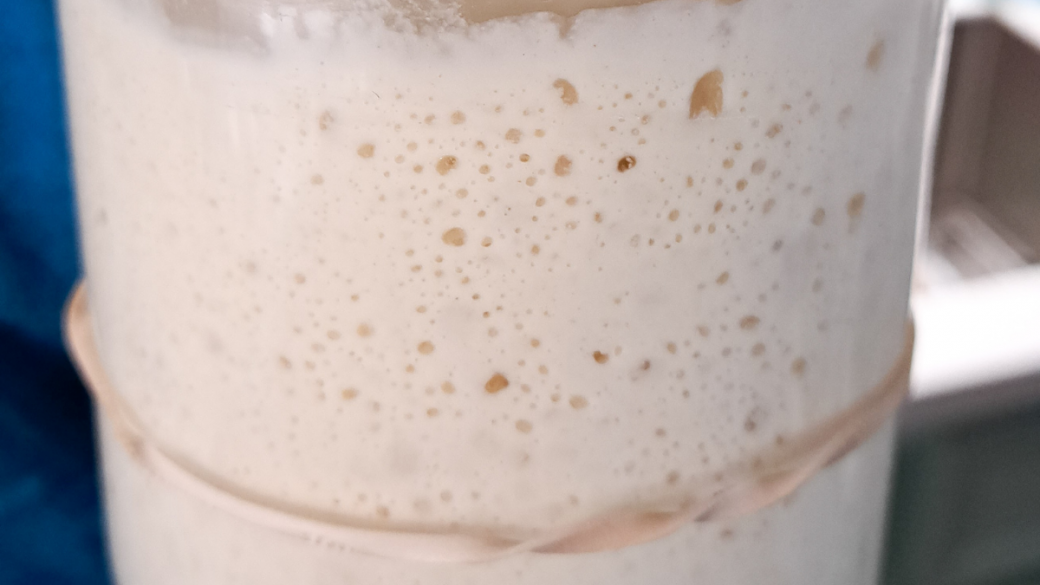 Instructions for Making Sourdough Starter from Scratch