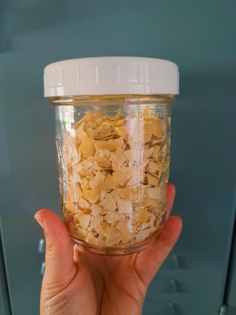 dehydrated sourdough starter flakes